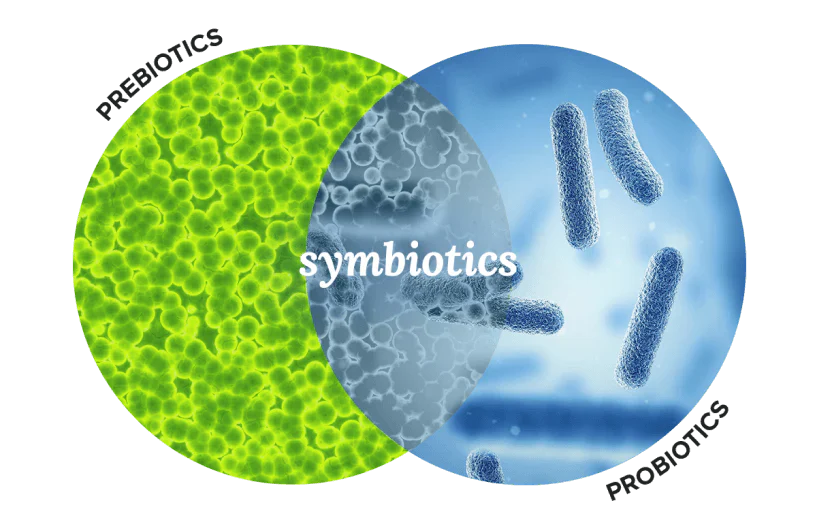 XOS Prebiotics