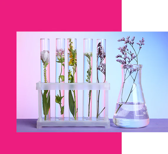 pf-ab4c756f--Plantingredientsserumsandmasks.webp